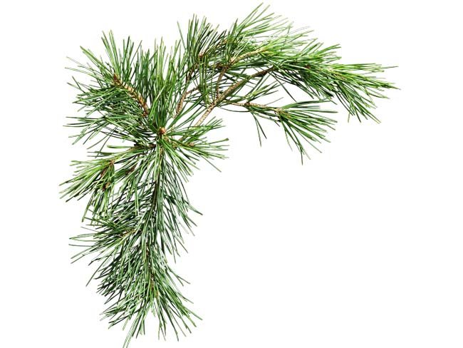 clipping white background after